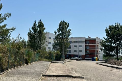 Terra a Macao, Santarem, Macao - € 70.000 | Ref: C0468-00494 - foto 13