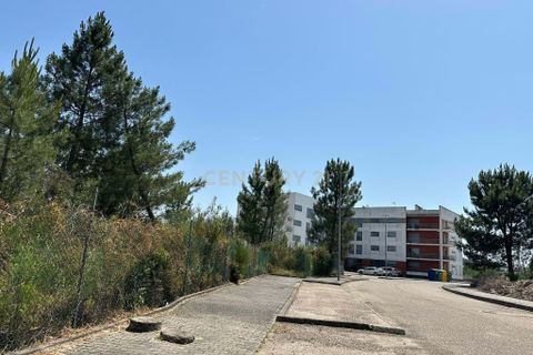 Terra a Macao, Santarem, Macao - € 70.000 | Ref: C0468-00494 - foto 15