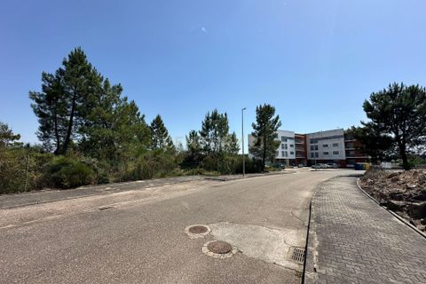 Terra a Macao, Santarem, Macao - € 70.000 | Ref: C0468-00494 - foto 19