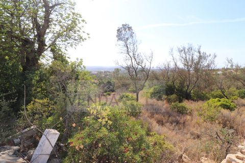 Helårsgrund i Boliqueime, Faro, Boliqueime - € 18.900 | Ref: R65002 (CADA TERRENO) - foto 3