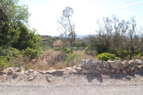 Helårsgrund i Boliqueime, Faro, Boliqueime - € 18.900 | Ref: R65002 (CADA TERRENO) - foto 4