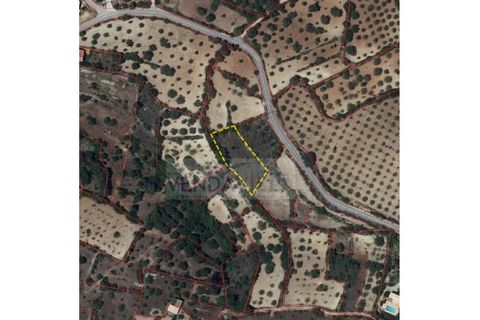 Helårsgrund i Boliqueime, Faro, Boliqueime - € 18.900 | Ref: R65002 (CADA TERRENO) - foto 2