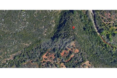 Helårsgrund i Paderne, Faro, Paderne - € 12.900 | Ref: R65027 - foto 3