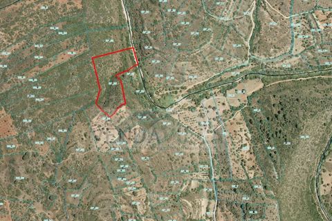 Helårsgrund i Paderne, Faro, Paderne - € 12.900 | Ref: R65027 - foto 4