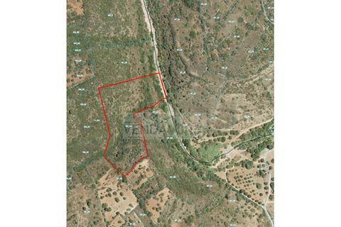 Helårsgrund i Paderne, Faro, Paderne - € 12.900 | Ref: R65027 - foto 5