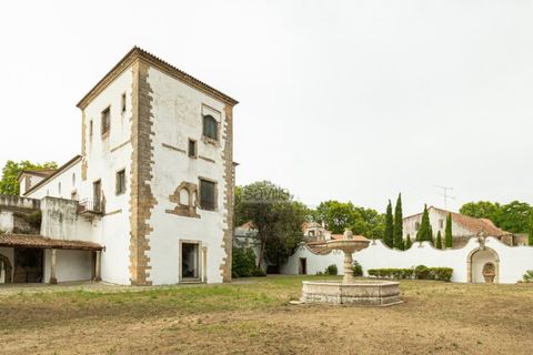 Farm i Belas, Lisbon, Belas - € 14.000.000 | Ref: SAVLBN220088 - foto 5