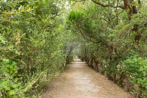 Farm i Belas, Lisbon, Belas - € 14.000.000 | Ref: SAVLBN220088 - foto 16