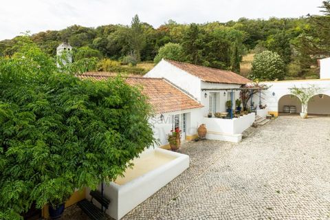Farm i Belas, Lisbon, Belas - € 14.000.000 | Ref: SAVLBN220088 - foto 17
