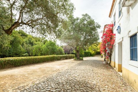 Farm i Belas, Lisbon, Belas - € 14.000.000 | Ref: SAVLBN220088 - foto 19