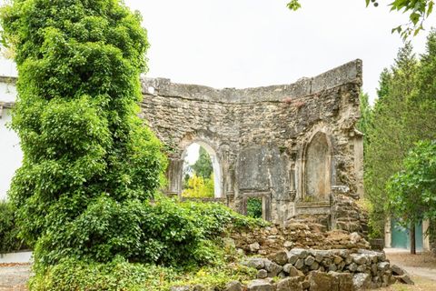 Farm i Belas, Lisbon, Belas - € 14.000.000 | Ref: SAVLBN220088 - foto 21