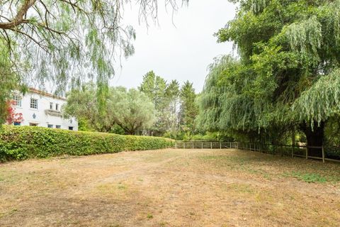 Farm i Belas, Lisbon, Belas - € 14.000.000 | Ref: SAVLBN220088 - foto 25