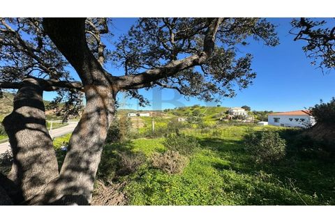 Farm i Castro Marim, Faro, Castro Marim - € 249.000 | Ref: BYS-1124 - foto 26
