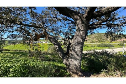 Farm i Castro Marim, Faro, Castro Marim - € 249.000 | Ref: BYS-1124 - foto 27