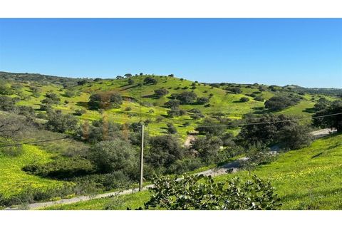 Farm i Castro Marim, Faro, Castro Marim - € 249.000 | Ref: BYS-1124 - foto 31
