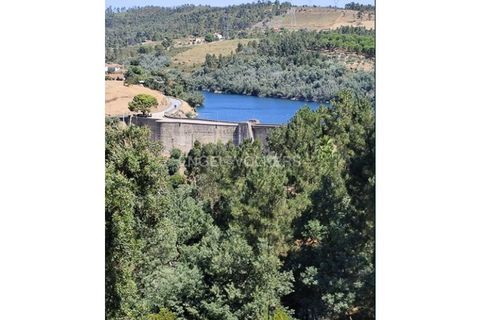 Villa a Abrantes, Santarem, Abrantes - € 500.000 | Ref: W-048O9Q - foto 22