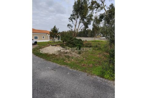 Villa a Abrantes, Santarem, Abrantes - € 500.000 | Ref: W-048O9Q - foto 21