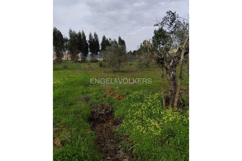 Villa a Abrantes, Santarem, Abrantes - € 500.000 | Ref: W-048O9Q - foto 25
