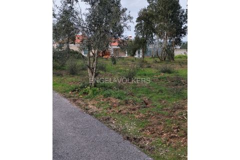 Villa a Abrantes, Santarem, Abrantes - € 500.000 | Ref: W-048O9Q - foto 26