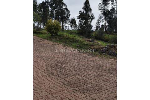 Villa a Abrantes, Santarem, Abrantes - € 500.000 | Ref: W-048O9Q - foto 28