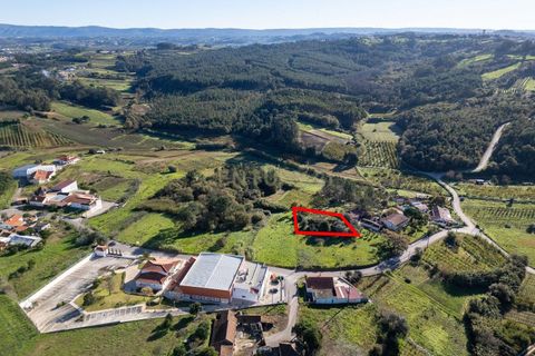 Villa i Alcobaca, Leiria, Alcobaca - € 67.000 | Ref: 0563-01875 - foto 6