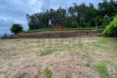 Terra a Azere, Viana do Castelo, Azere - € 42.500 | Ref: AVV-1811-ML-0421 - foto 3