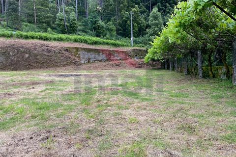 Terra a Azere, Viana do Castelo, Azere - € 42.500 | Ref: AVV-1811-ML-0421 - foto 4