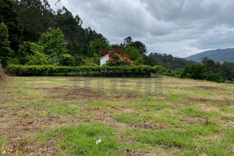 Terra a Azere, Viana do Castelo, Azere - € 42.500 | Ref: AVV-1811-ML-0421 - foto 7