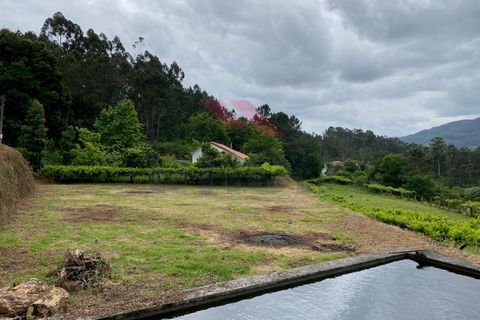 Terra a Azere, Viana do Castelo, Azere - € 42.500 | Ref: AVV-1811-ML-0421 - foto 8