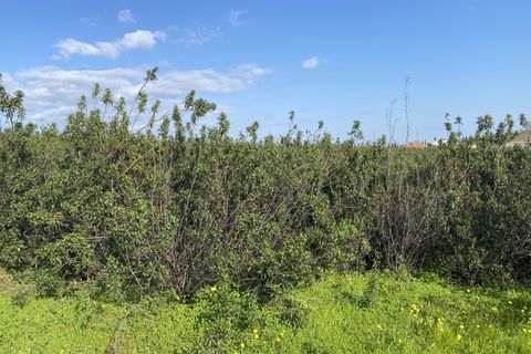 Helårsgrund i Castro Marim, Faro, Castro Marim - € 250.000 | Ref: SÒL_1339 - foto 15