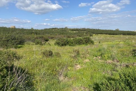 Helårsgrund i Castro Marim, Faro, Castro Marim - € 250.000 | Ref: SÒL_1339 - foto 22