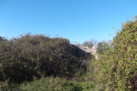 Ruinere i Moncarapacho, Faro, Moncarapacho - € 250.000 | Ref: 581AB - foto 3
