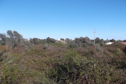 Ruinere i Moncarapacho, Faro, Moncarapacho - € 250.000 | Ref: 581AB - foto 7