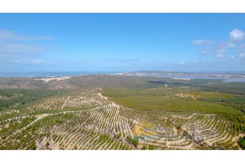 Helårsgrund i Vau, Leiria, Vau - € 115.000 | Ref: 3854SC - foto 23