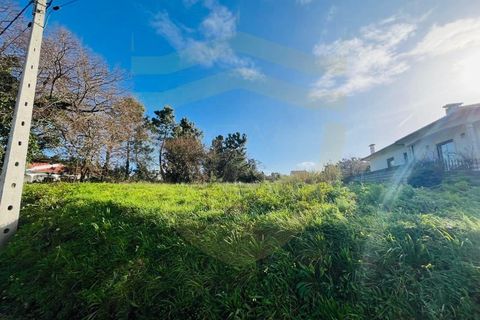 Helårsgrund i Lavos, Coimbra, Lavos - € 68.000 | Ref: SÒL_1199 - foto 1