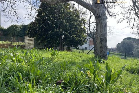 Leilighet i Forano, Rieti, Forano - € 135 000 | Ref: CUG-802 - foto 17