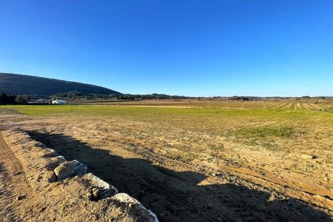Terra a Floure, Aude, Floure - € 99.000 | Ref: FLOURE-LOT18 - foto 3