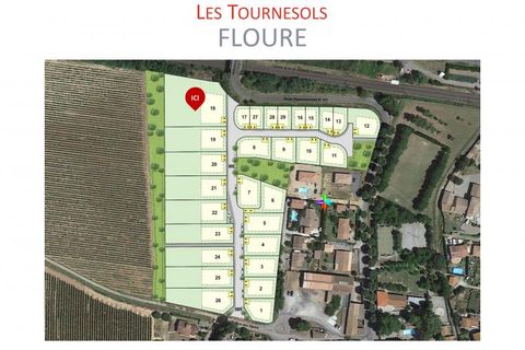 Terra a Floure, Aude, Floure - € 99.000 | Ref: FLOURE-LOT18 - foto 5