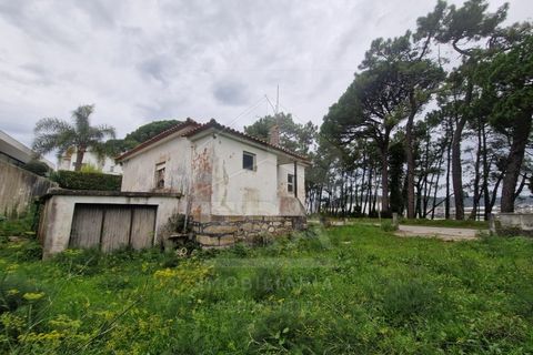 Villa a Darque, Viana do Castelo, Darque - € 430.000 | Ref: 251250207 - foto 3