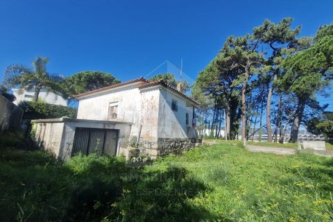 Villa a Darque, Viana do Castelo, Darque - € 430.000 | Ref: 251250207 - foto 8