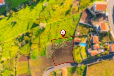 Helårsgrund i Calheta, Madeira, Calheta - € 370.000 | Ref: KWPT-028846 - foto 5