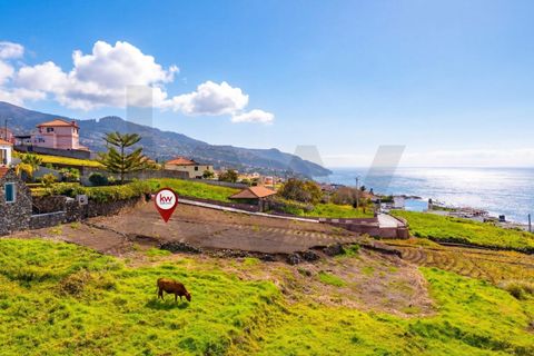 Helårsgrund i Calheta, Madeira, Calheta - € 370.000 | Ref: KWPT-028846 - foto 9