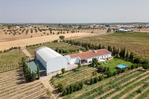 Gård i Evora, Evora, Evora - € 1 499 888 | Ref: DH943 - foto 4