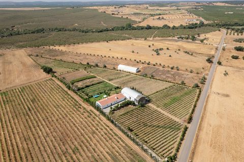 Gård i Evora, Evora, Evora - € 1 499 888 | Ref: DH943 - foto 7