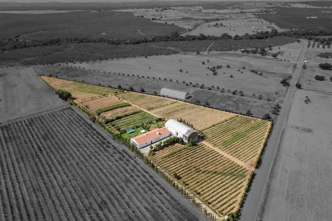 Gård i Evora, Evora, Evora - € 1 499 888 | Ref: DH943 - foto 8