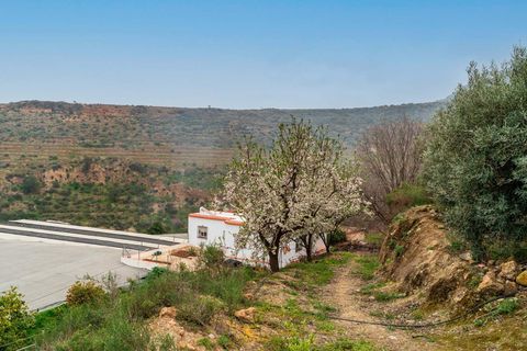 Helårsgrund i Canjayar, Almeria, Canjayar - € 320.000 | Ref: 13975-RVR/2912 - foto 23