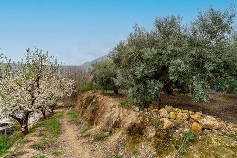 Helårsgrund i Canjayar, Almeria, Canjayar - € 320.000 | Ref: 13975-RVR/2912 - foto 25