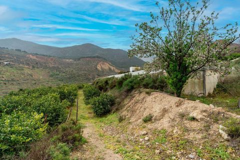Helårsgrund i Canjayar, Almeria, Canjayar - € 320.000 | Ref: 13975-RVR/2912 - foto 34