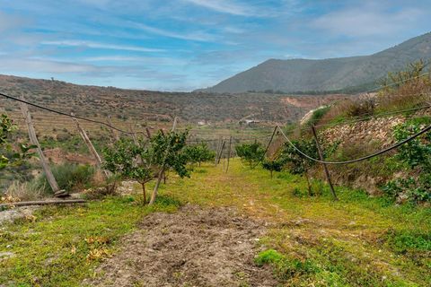 Helårsgrund i Canjayar, Almeria, Canjayar - € 320.000 | Ref: 13975-RVR/2912 - foto 35