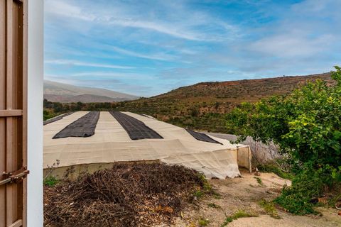 Helårsgrund i Canjayar, Almeria, Canjayar - € 320.000 | Ref: 13975-RVR/2912 - foto 39