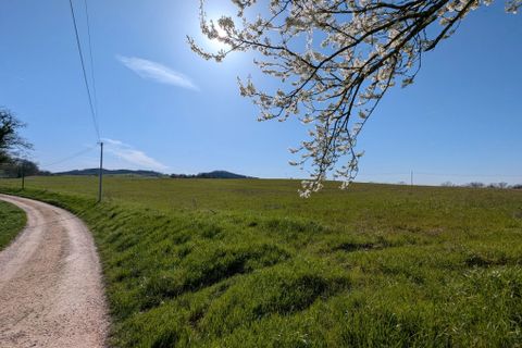 Terra a Monflanquin, Lot-et-Garonne, Monflanquin - € 66.000 | Ref: BVI84442 - foto 3